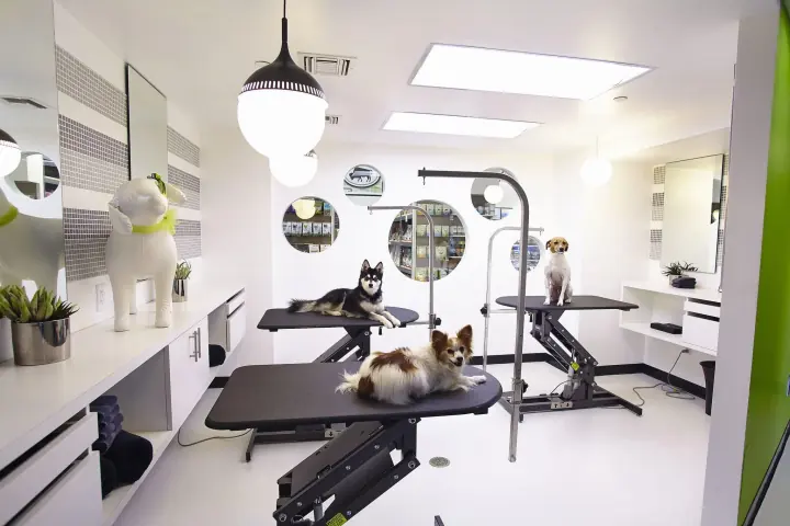 Grooming Salon Automation