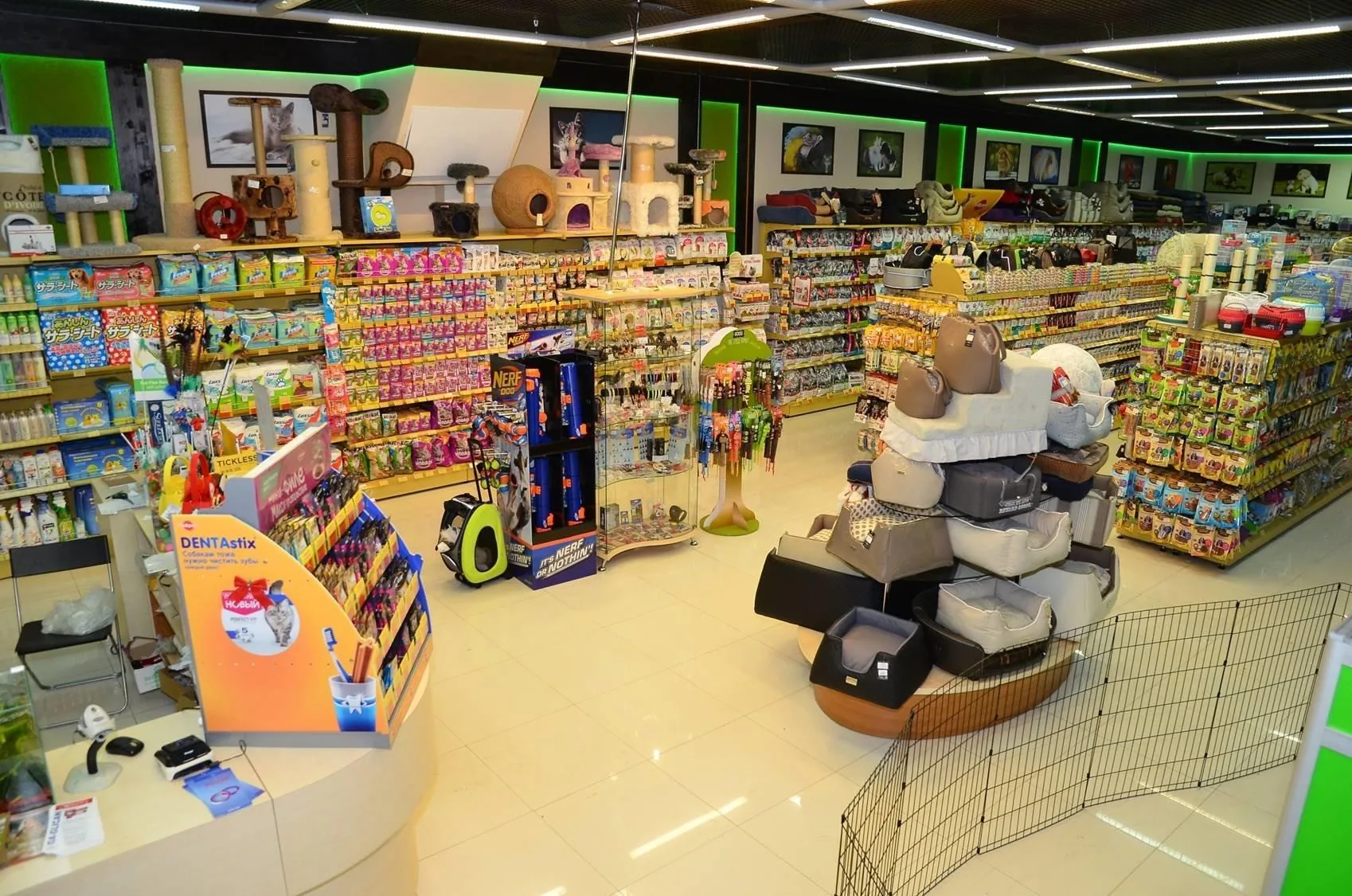 Внедрение SYNTERRA: зоомагазин