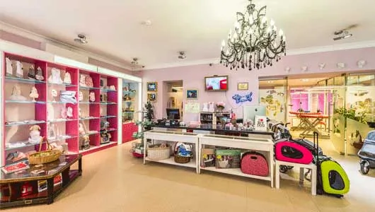 Внедрение SYNTERRA: зоомагазин и груминг